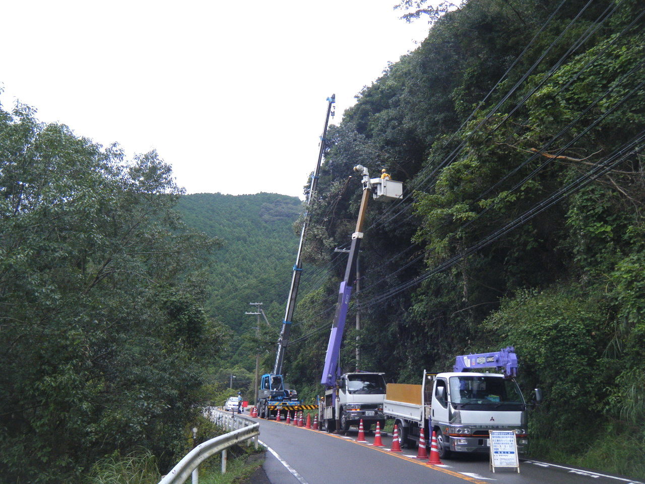 テクノ 樹木伐採工事